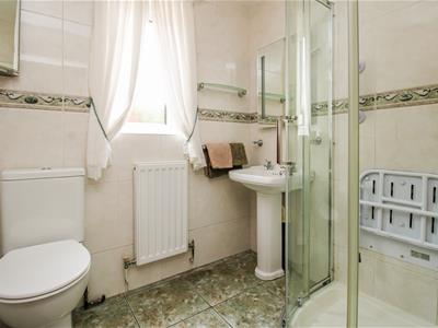 Picture 7